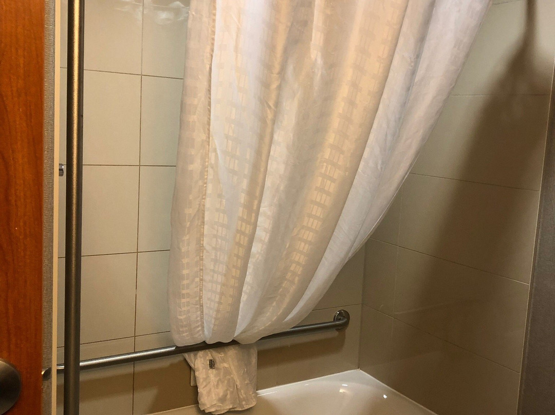 Canalta Selkirk主图