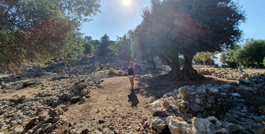 Sami Acropolis景点图片