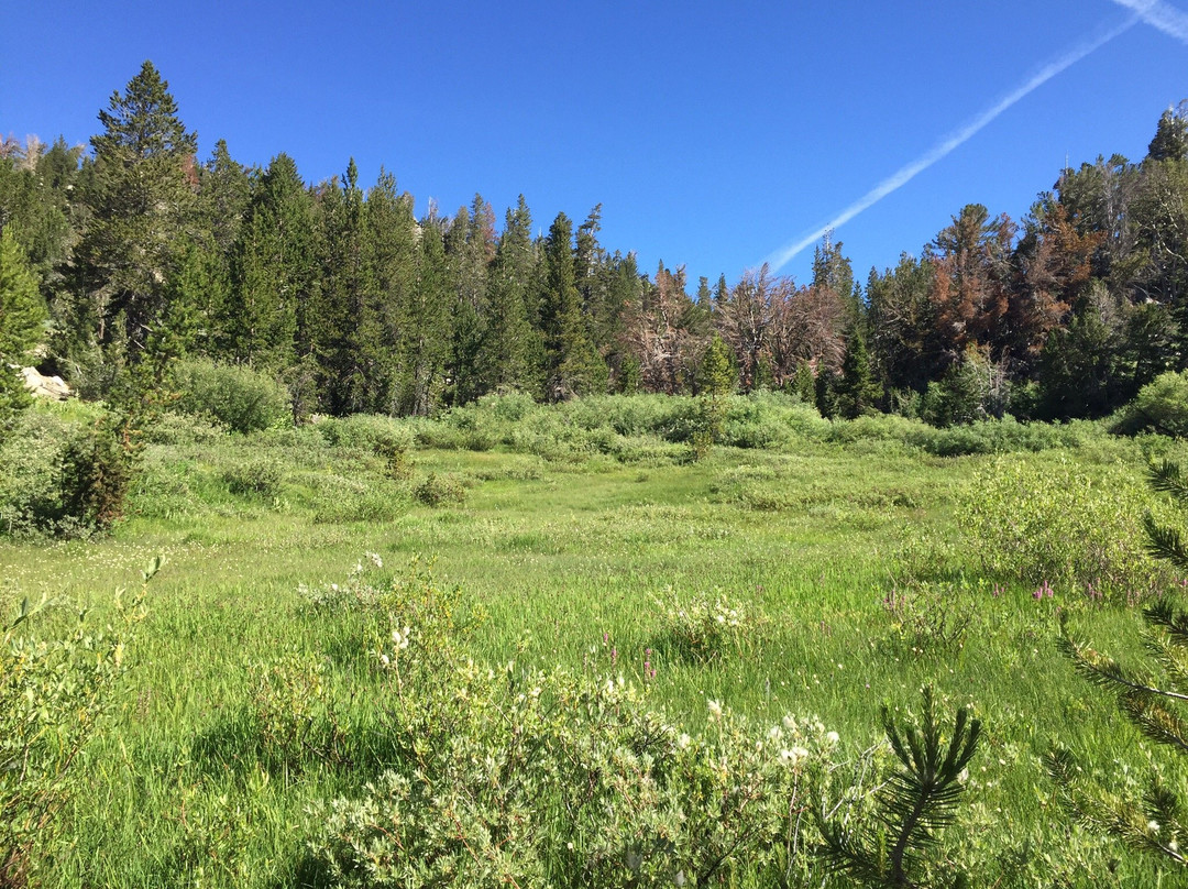 Tahoe Meadows Trail景点图片