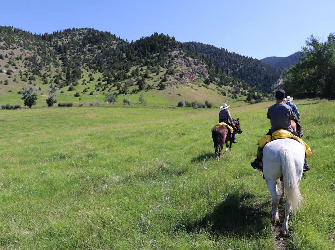 Bear Paw Outfitters-利文斯顿必去景点