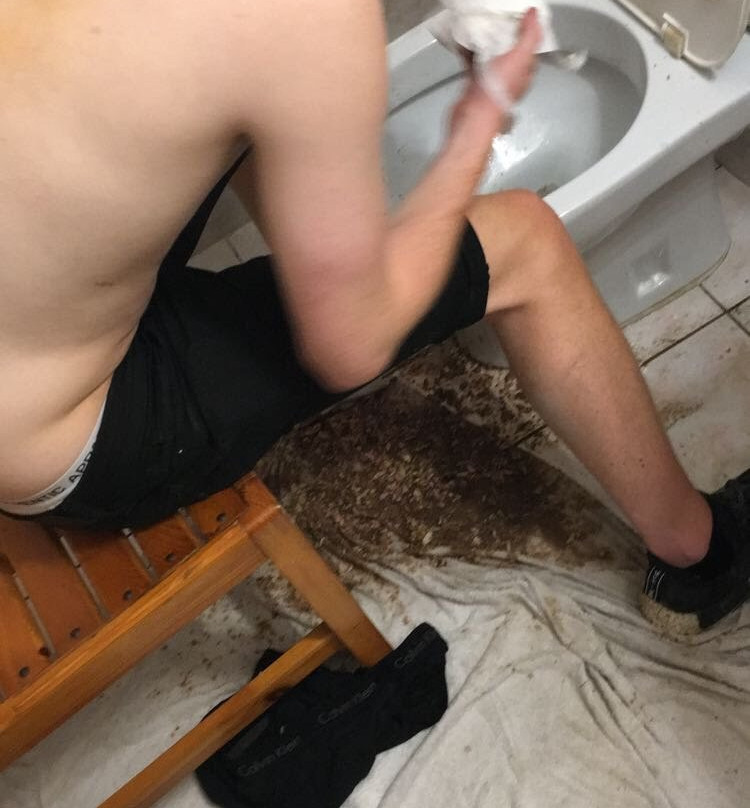 Divina Studios主图