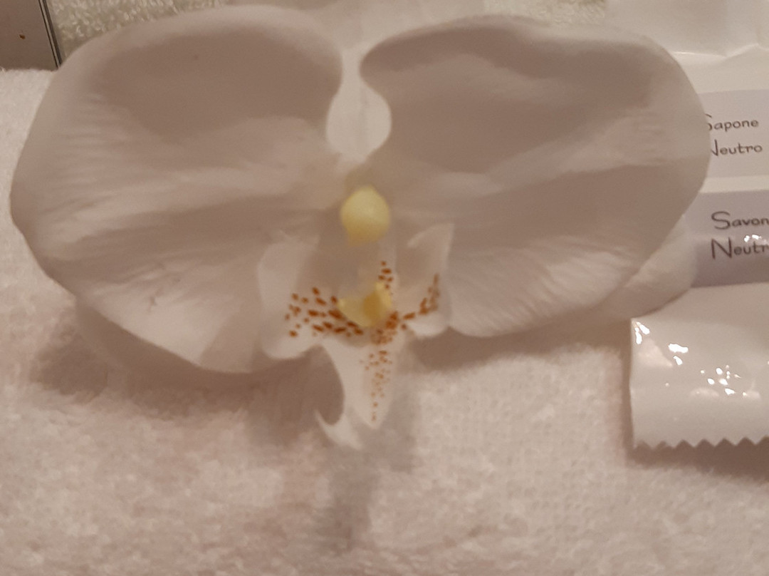 Bleu Mer Duplex & Suites主图