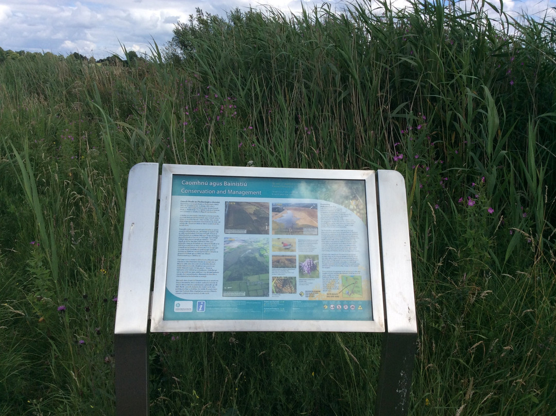 Pollardstown Fen Nature Reserve-Newbridge必去景点
