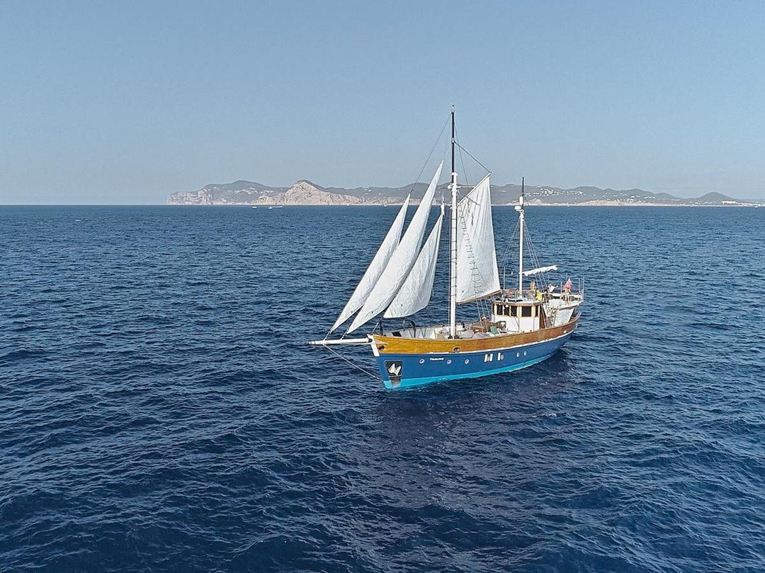 TRUELOVE BOAT-伊维萨城区必去景点