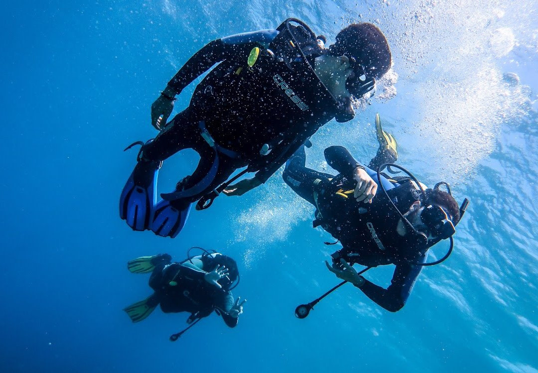Meltemi Dive Centre-埃欧斯岛必去景点