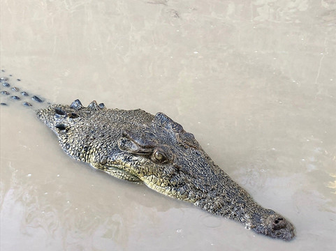 Offroad Dreaming-达尔文市必去景点