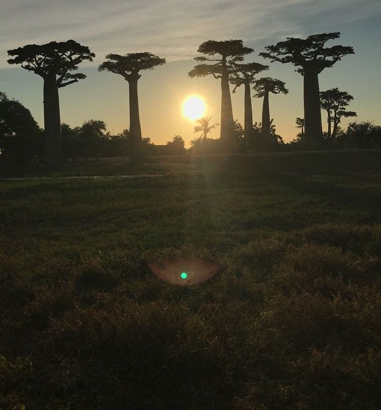 Madagascar Magic Tours景点图片