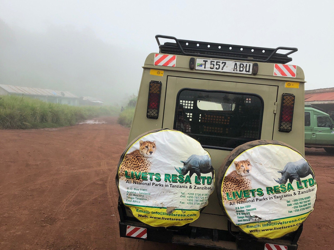 Livets Resa-阿鲁沙必去景点