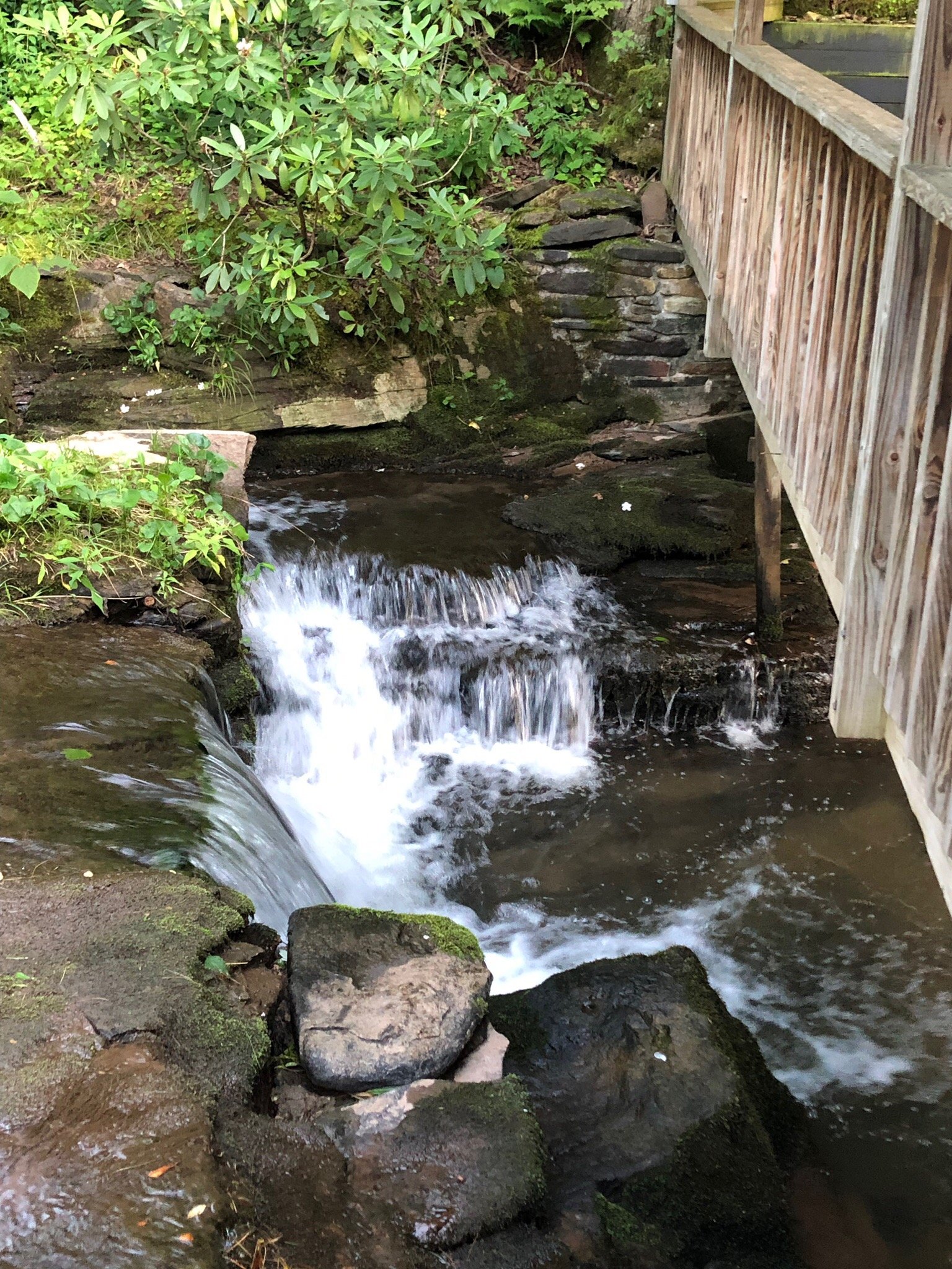 Streams and Dreams-官方
