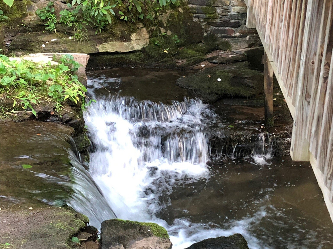 Streams and Dreams主图