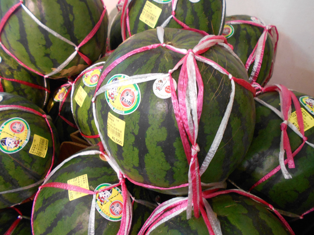 Nasu Yoichi no Sato Michi-no-Eki-太田原市必去景点