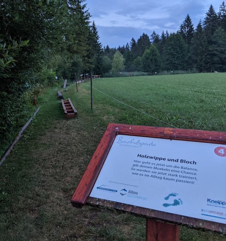 Barfußpark Bad Mitterndorf-泉米藤村必去景点