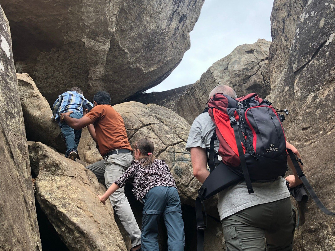 vsa lanka tours-佩拉德尼亚必去景点