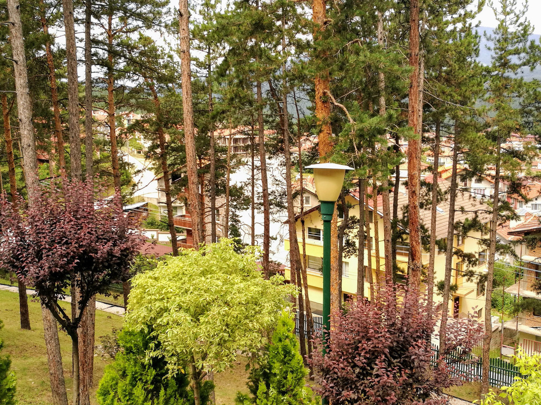 Maxi Park Hotel & Spa主图