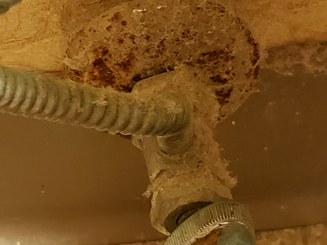 Quality Inn & Suites主图