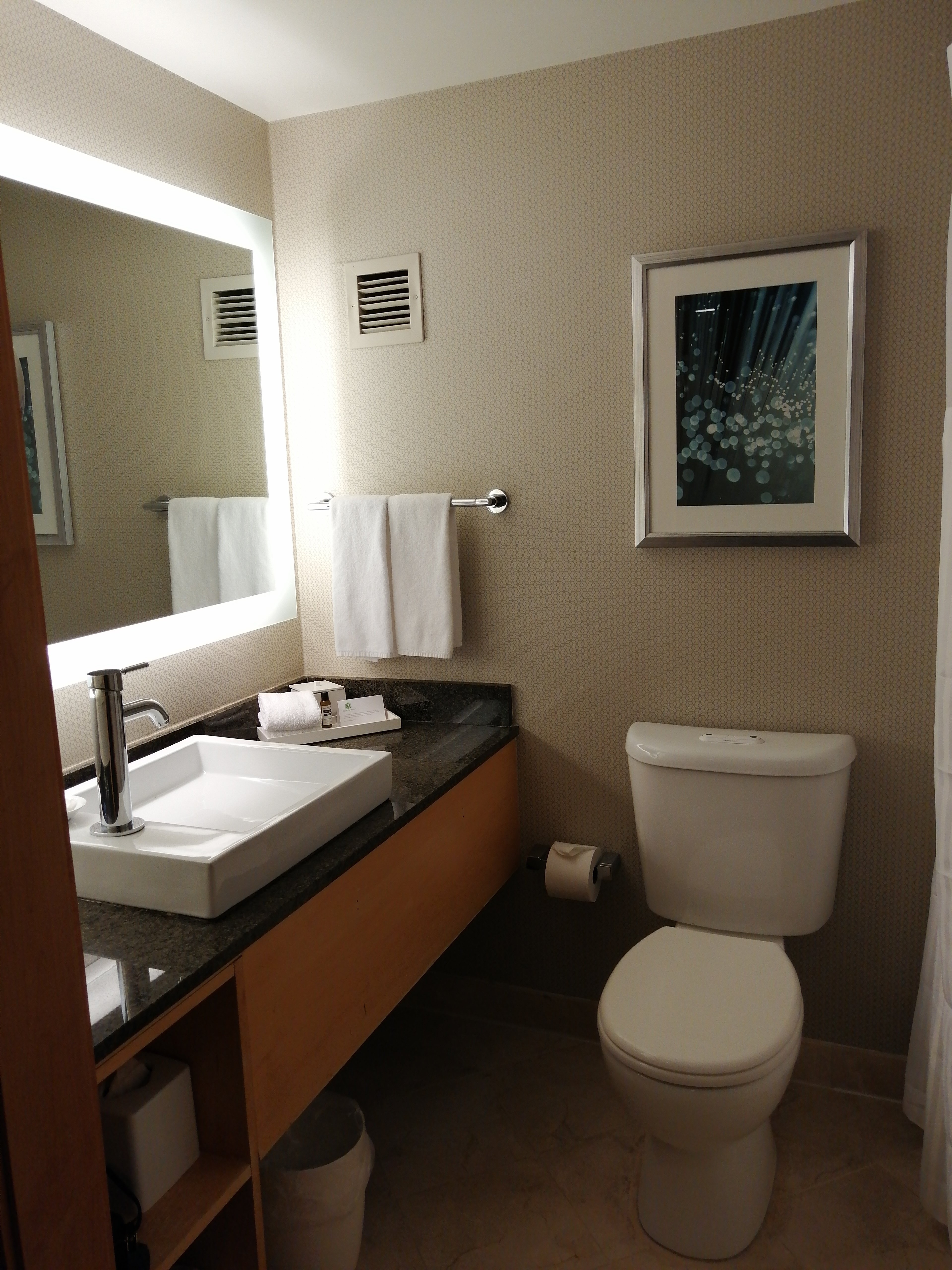 圣克拉拉凯悦酒店-浴室