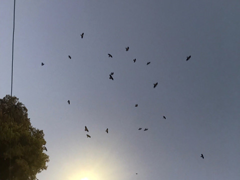 巴勒斯坦广场酒店主图