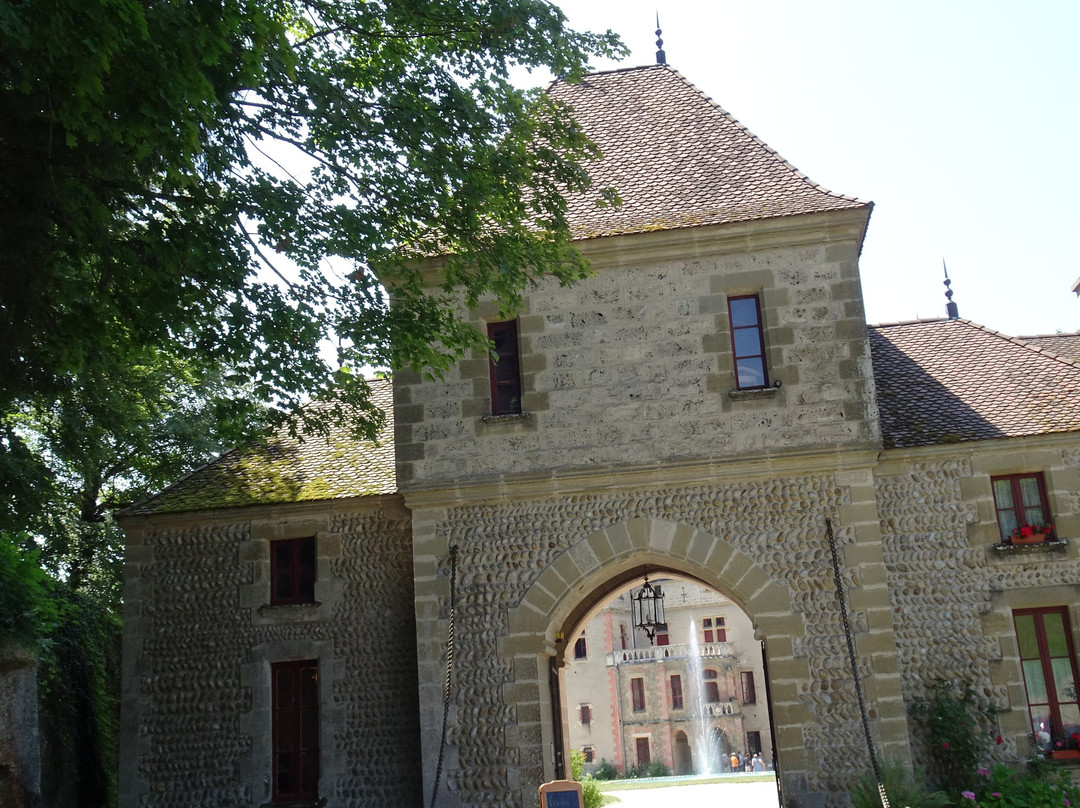 Château de Pupetières景点图片