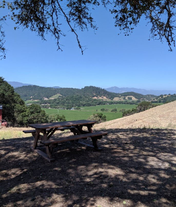 Regusci Winery-纳帕必去景点