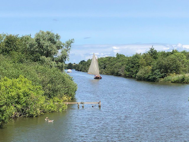 Norfolk Wildlife Trust - Broadland Conservation Centre景点图片