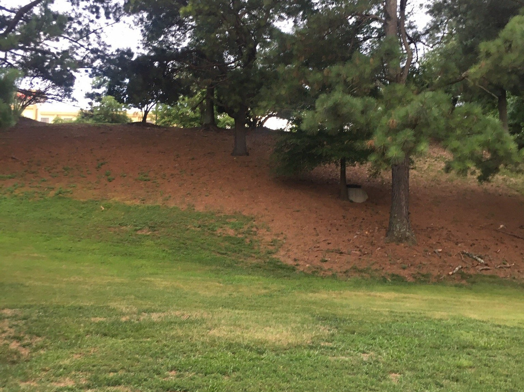 Hampton Inn & Suites Greenville Airport主图