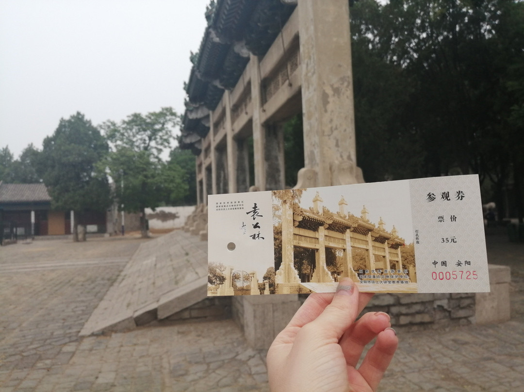 袁林-安阳市必去景点