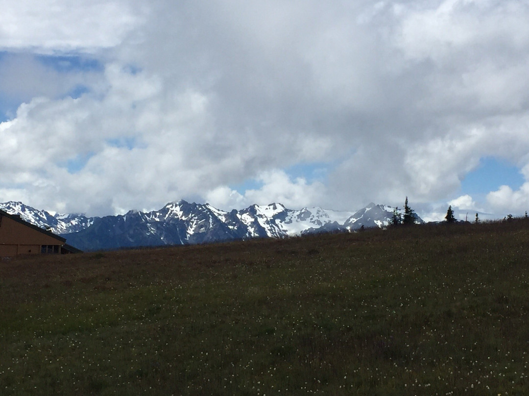 Olympic National Park Visitor Center景点图片