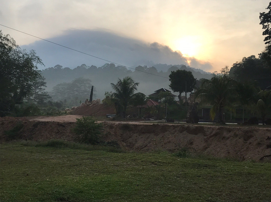 Kota Rainforest Resort主图