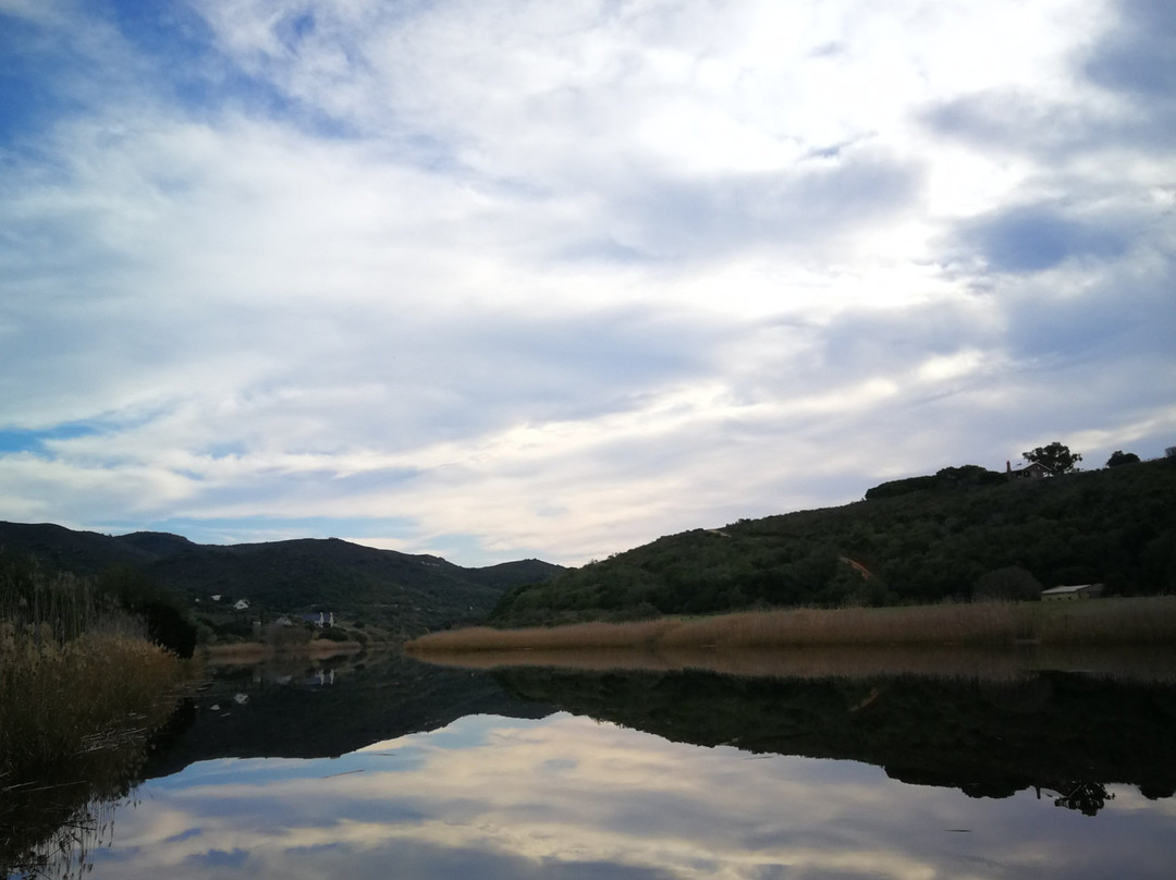 Wild Olive Guest Farm主图