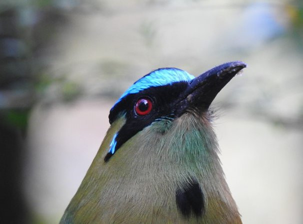 Cerro de Las Tres Cruces-Popayan必去景点