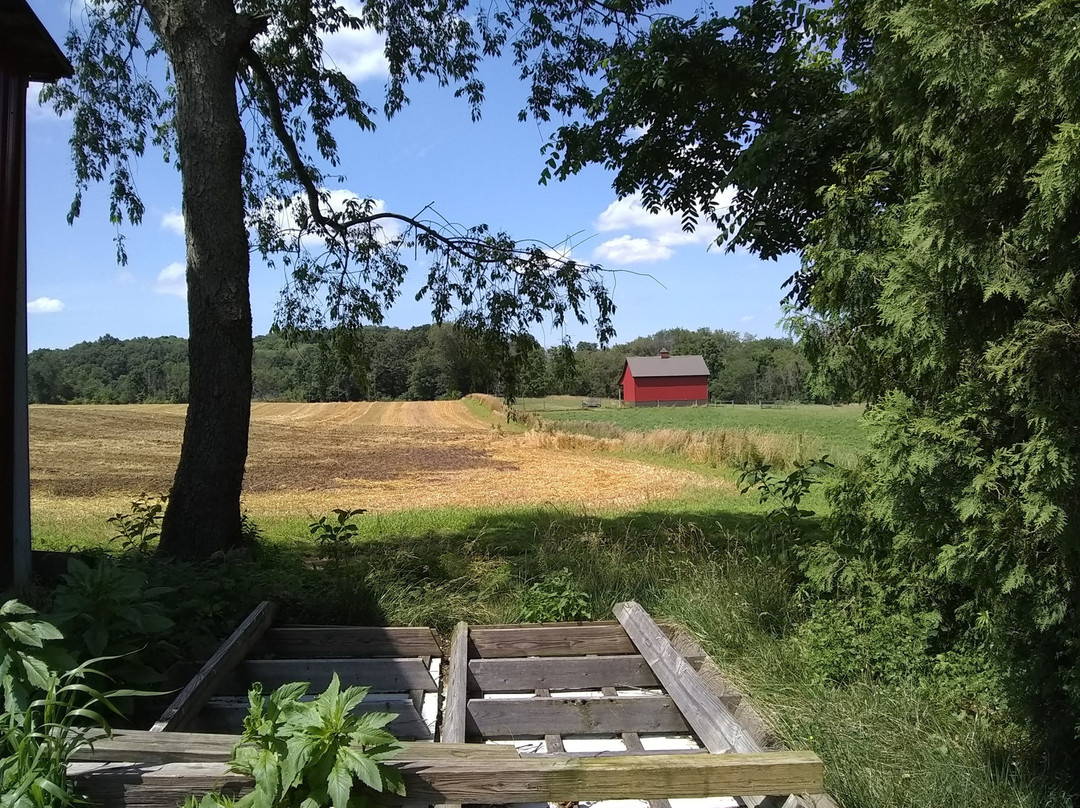 Troutman Vineyards-Wooster必去景点