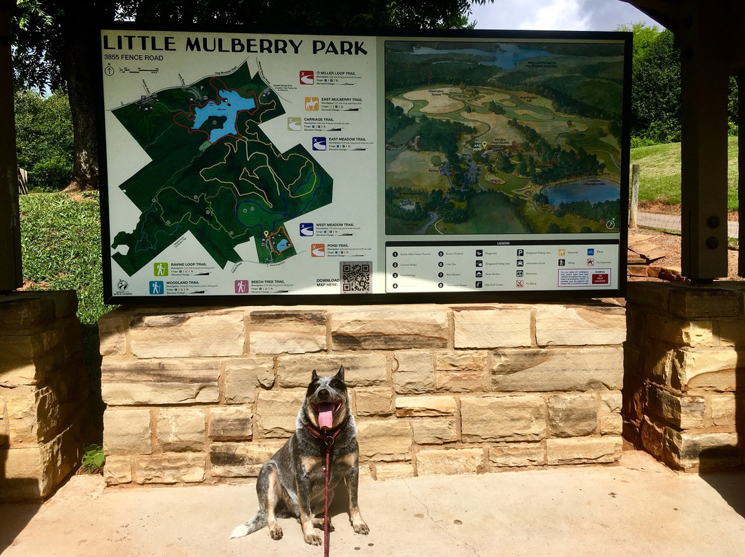 Little Mulberry Park-Dacula必去景点