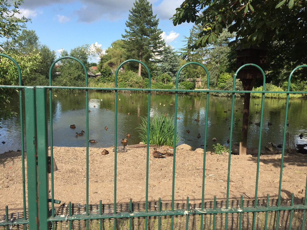 Fishpond Lane Nature Reserve景点图片