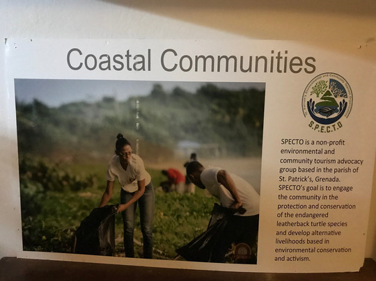 SPECTO-圣派屈克必去景点