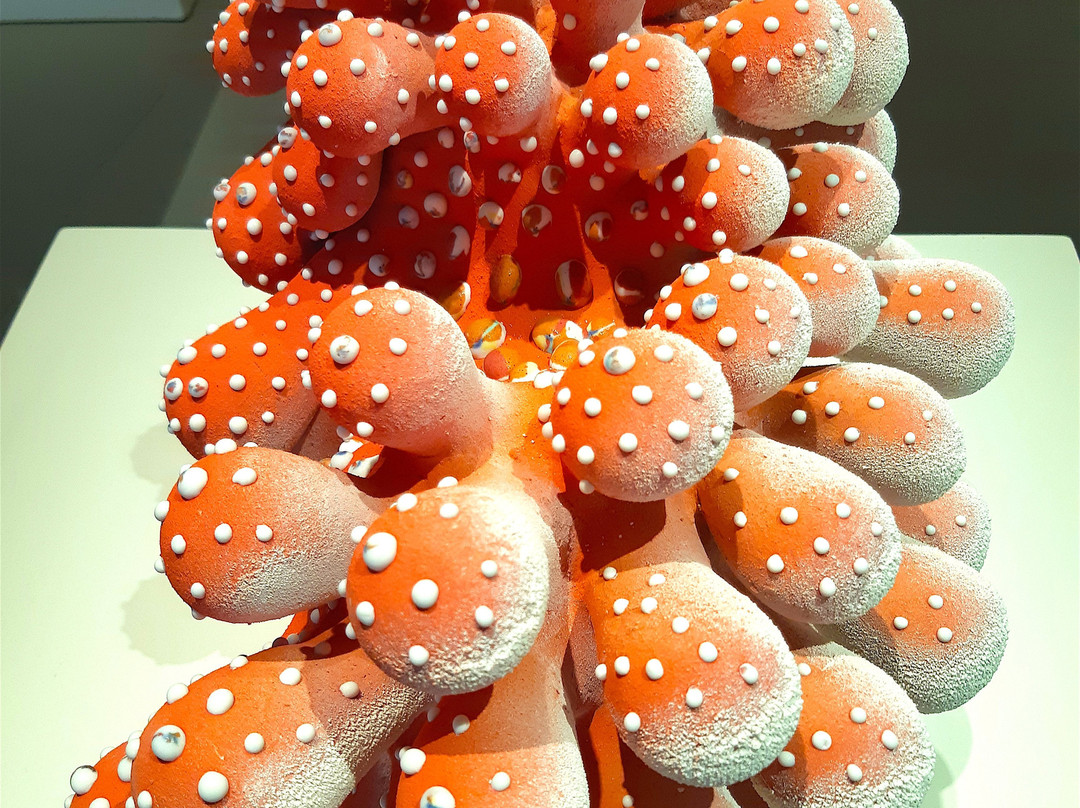 Mary E. Black Gallery-哈利法克斯必去景点