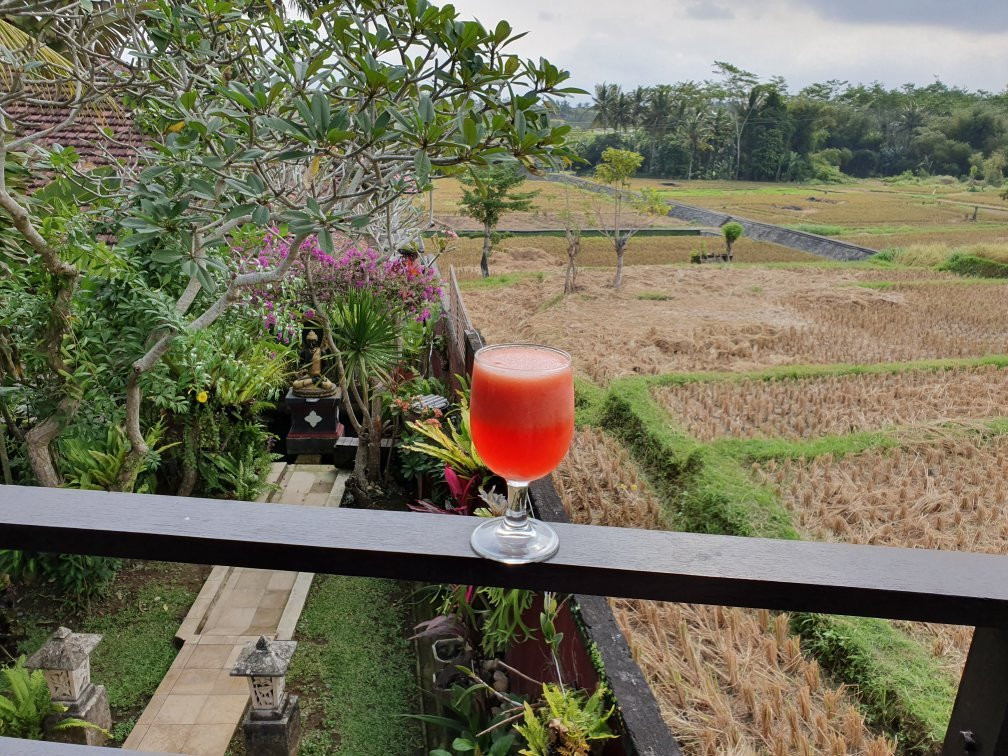 巴厘巴拉姆别墅酒店主图