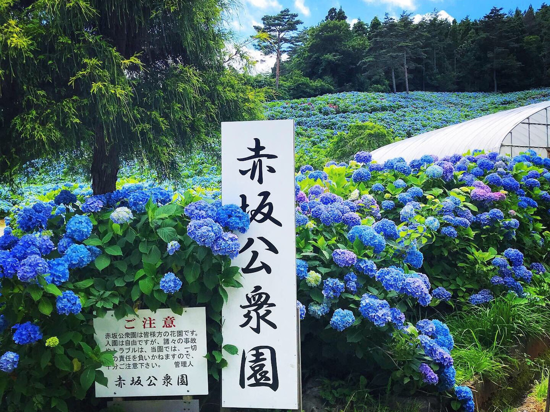 Akasaka Public Park-气仙沼市必去景点