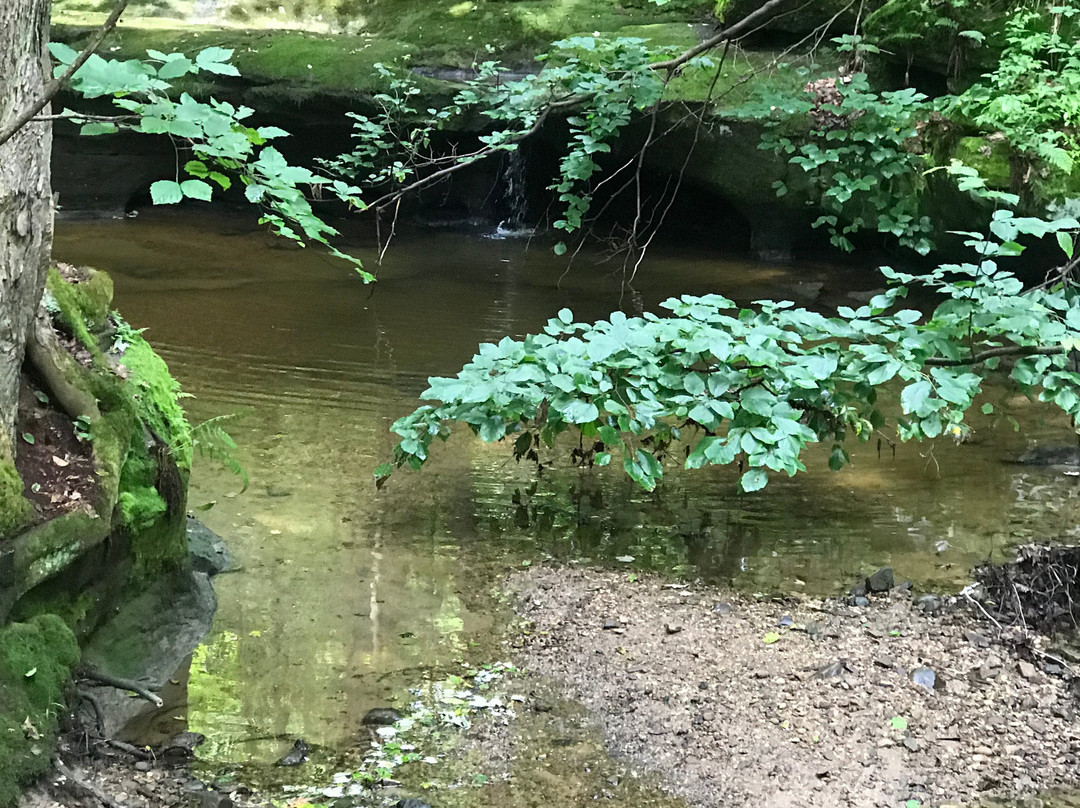 The West Woods-Novelty必去景点