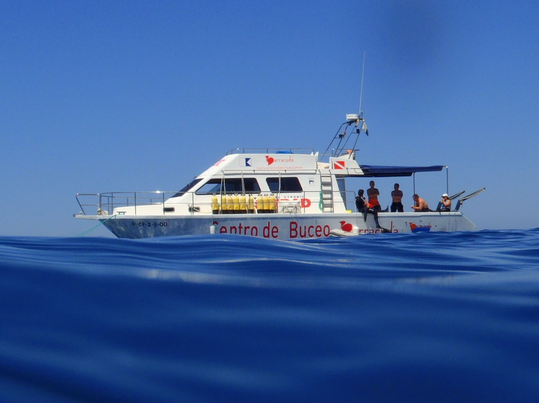 Buceo Barracuda景点图片