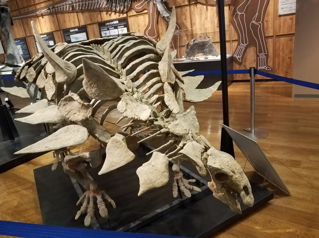 Tamba Dinosaurs Fossil Studio Chitan Museum-丹波市必去景点