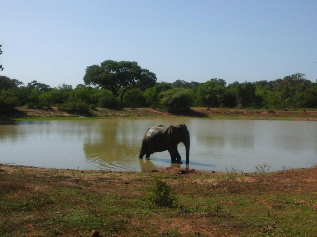 DG Travels Srilanka-科伦坡必去景点