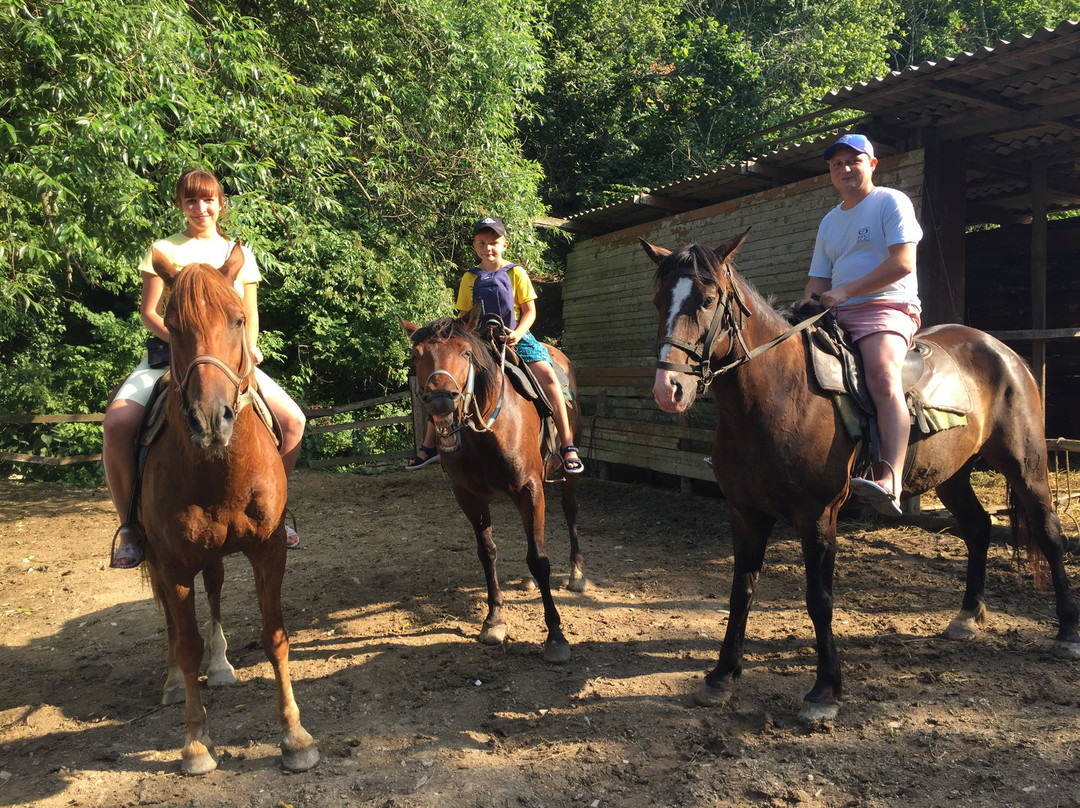 Horse Riding in Sukko Anapa-Sukko必去景点