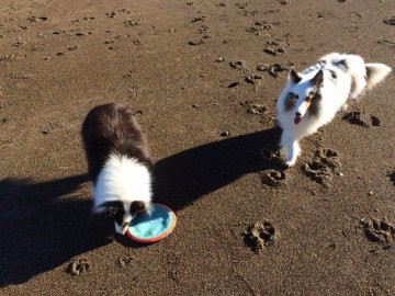 Fogarty Creek State Recreation Area-Depoe Bay必去景点