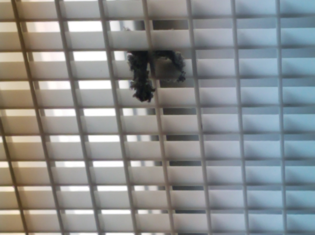 Hampton Inn Salisbury主图