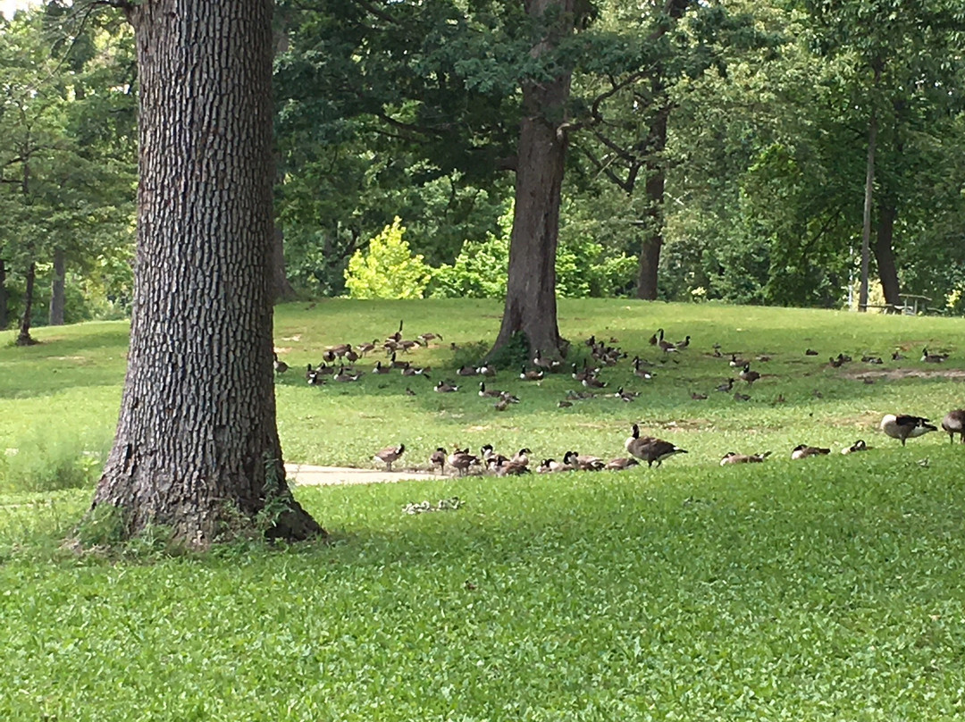 Garvin Park-埃文斯维尔必去景点