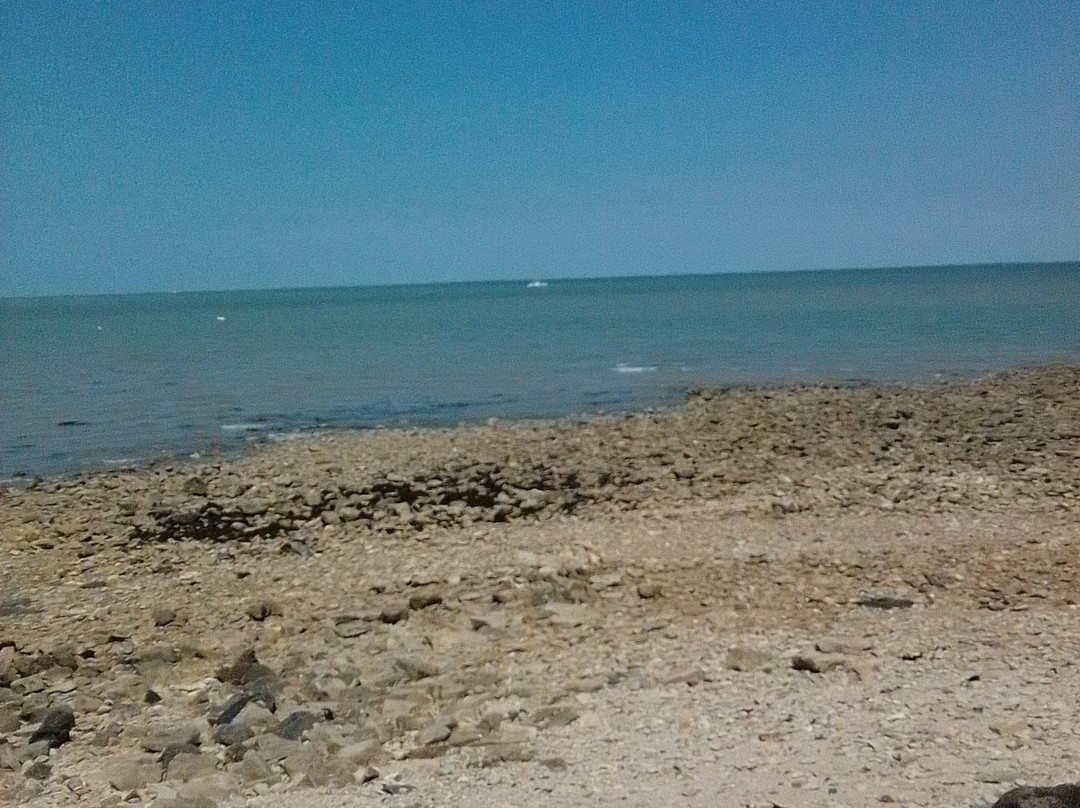 Plage de l'Arnerault景点图片