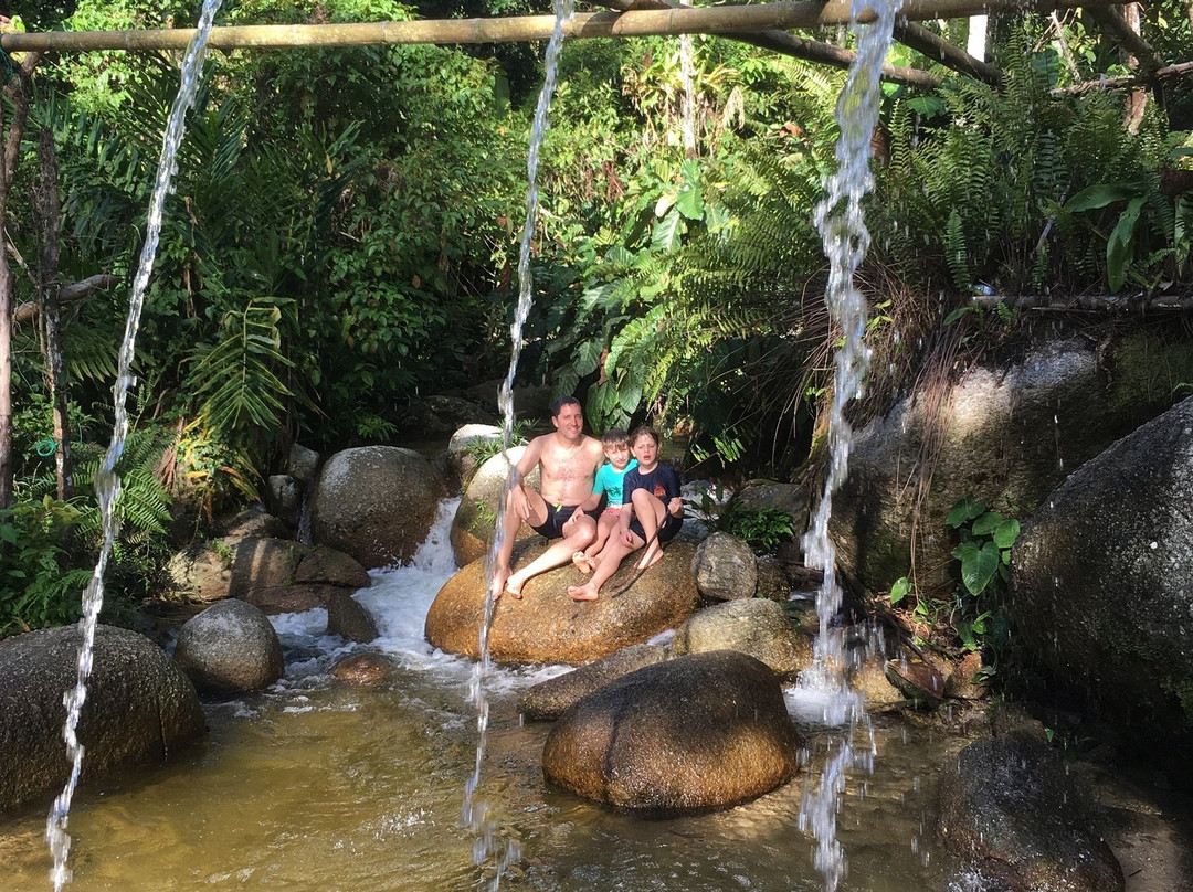 Rain Forest Inn主图