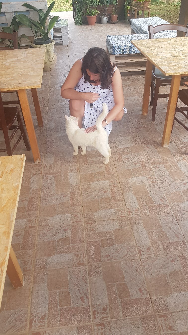 Agriturismo Sa Pramma-官方