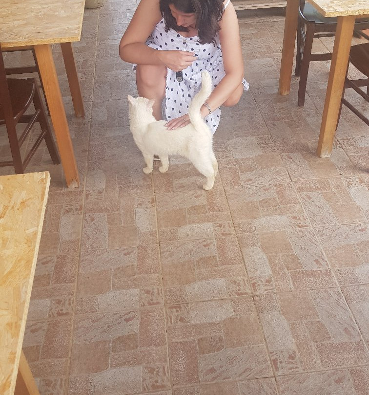 Agriturismo Sa Pramma主图