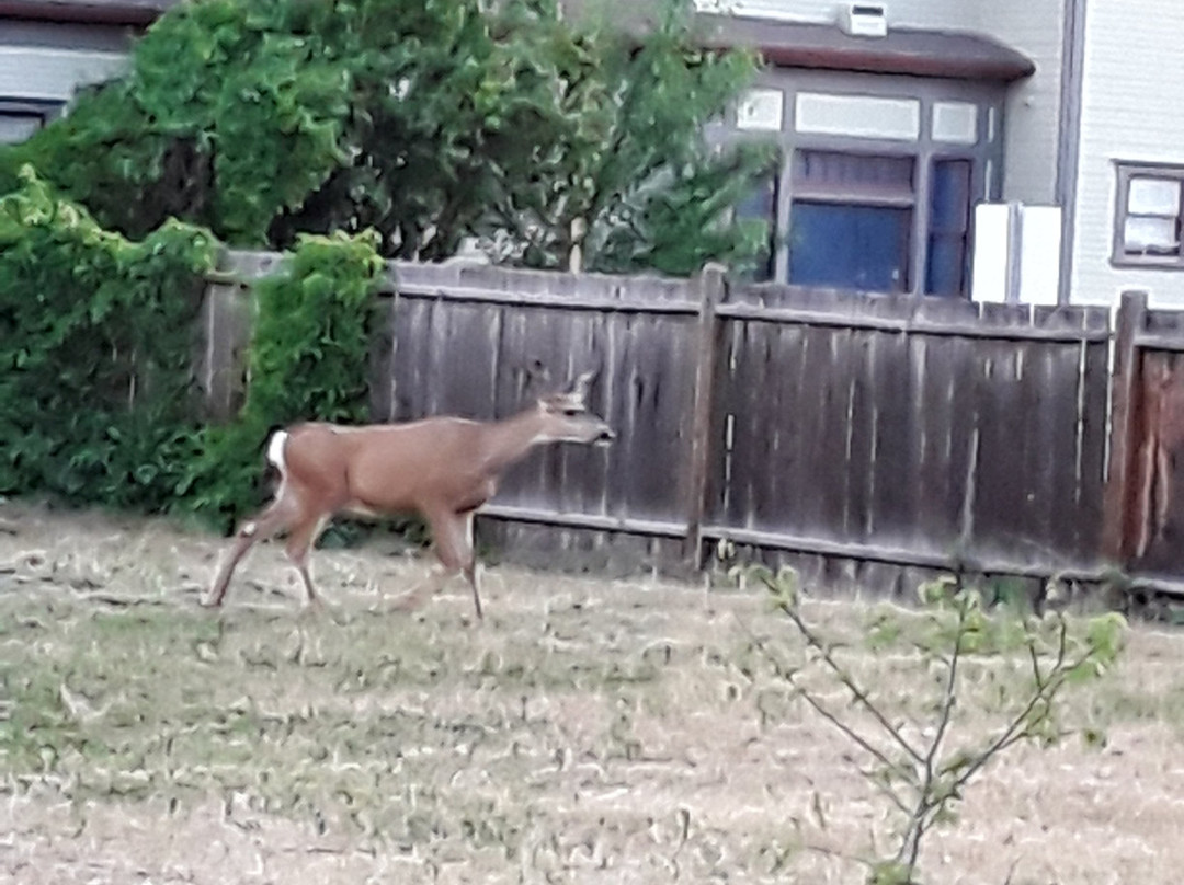 The Bridge Street Inn主图